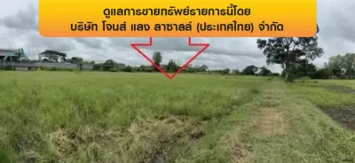 ที่ดินว่างเปล่า เมืองร้อยเอ็ด รูปที่ 3