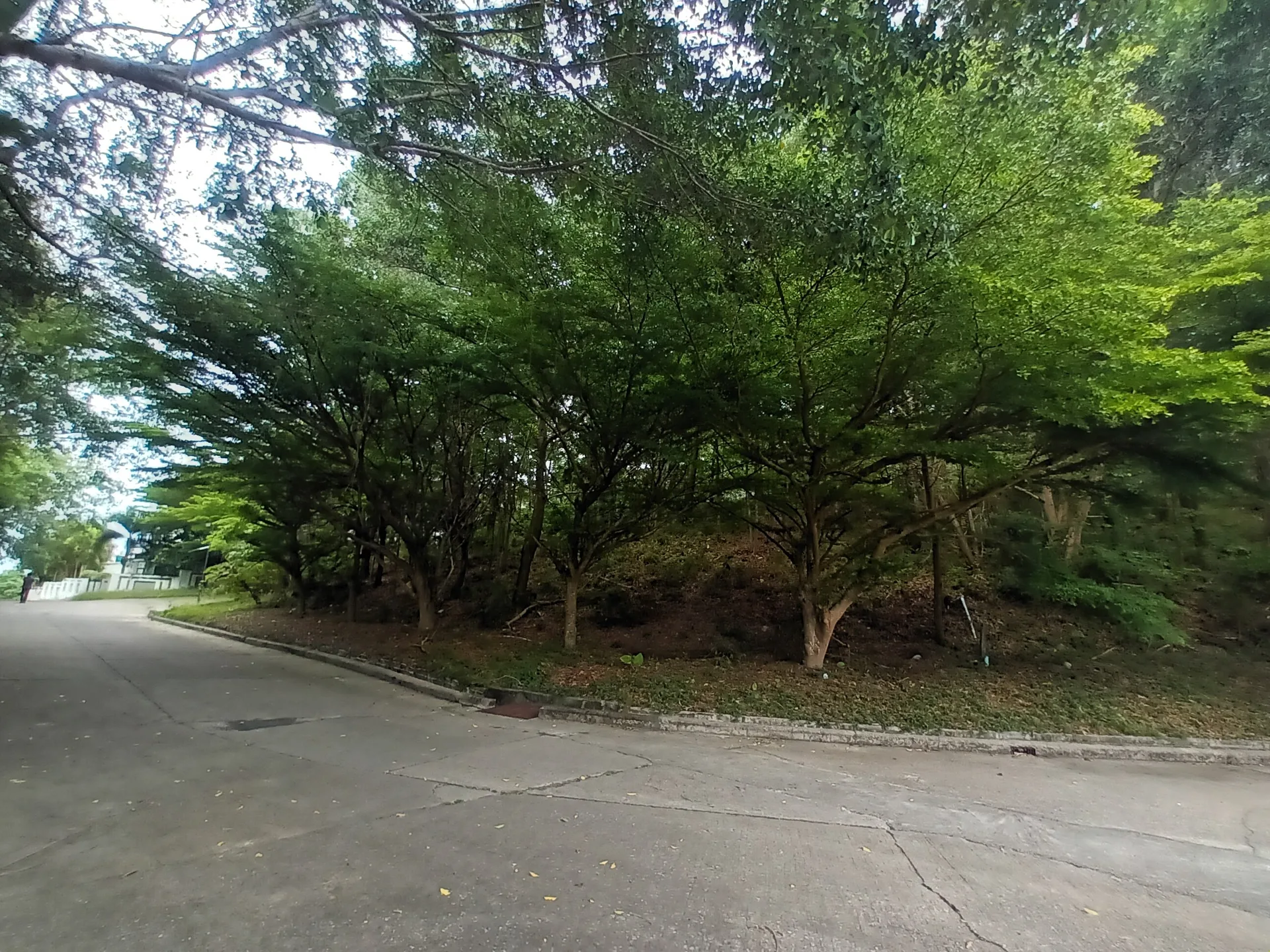 ที่ดินว่างเปล่า เมืองภูเก็ต