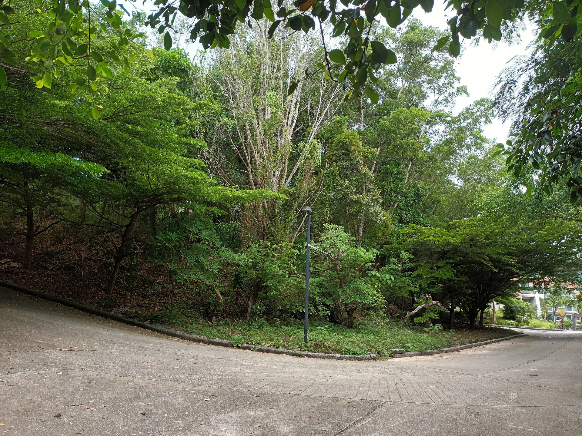 ที่ดินว่างเปล่า เมืองภูเก็ต