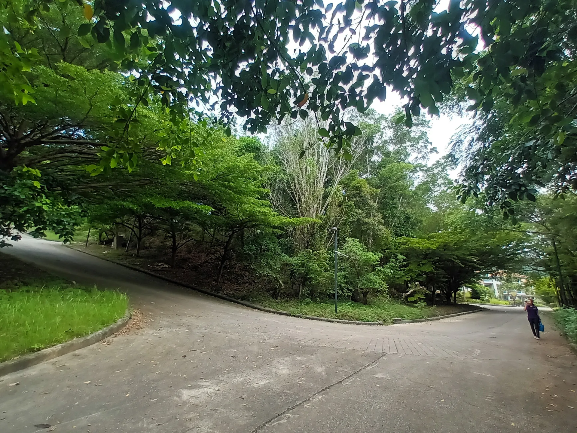 ที่ดินว่างเปล่า เมืองภูเก็ต