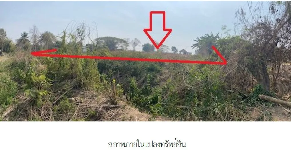 บ้านเดี่ยว เมืองพะเยา