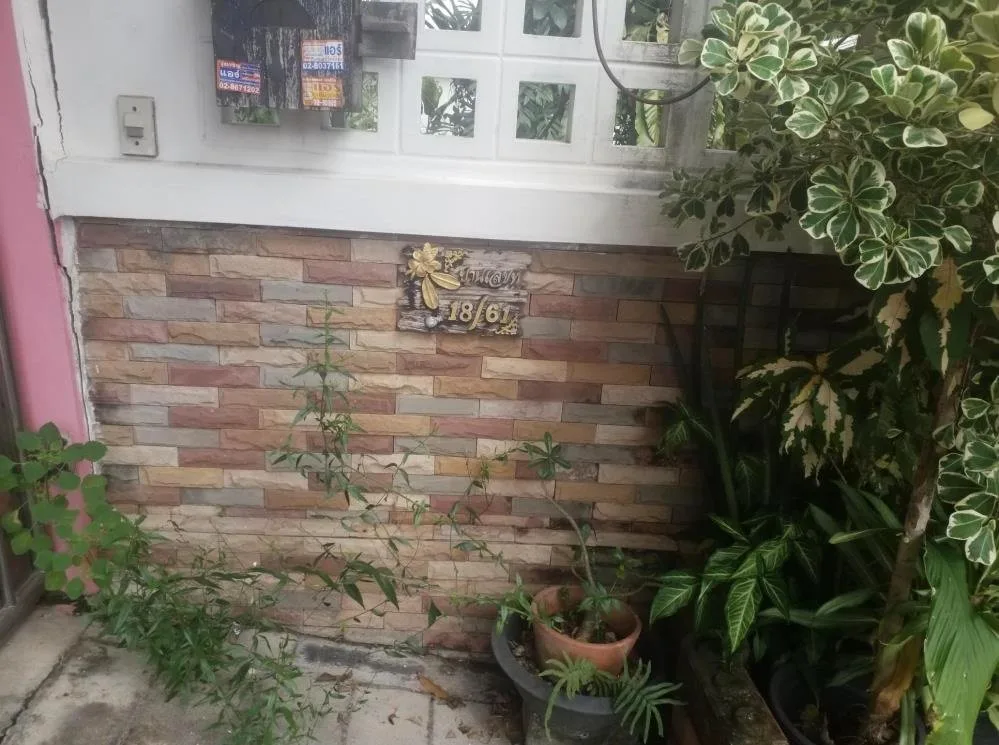 บ้านแฝด ชนันธร 2 หนองแขม