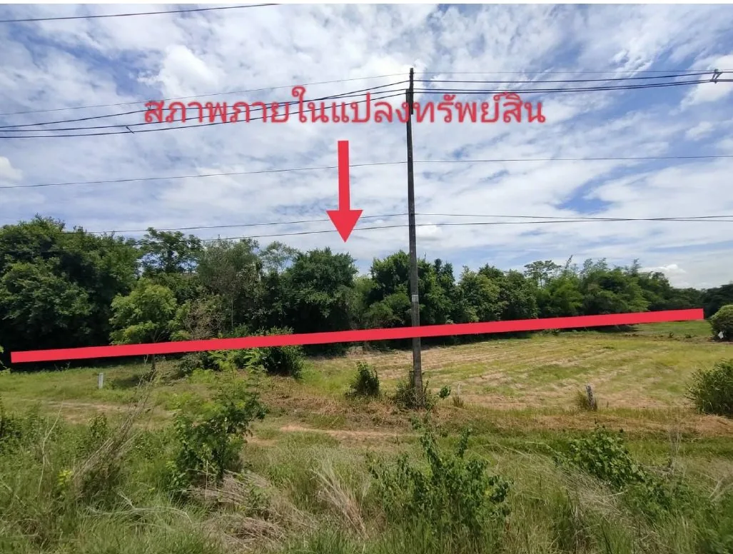 ที่ดินว่างเปล่า บ้านชำแฮด บรบือ-มหาสารคาม