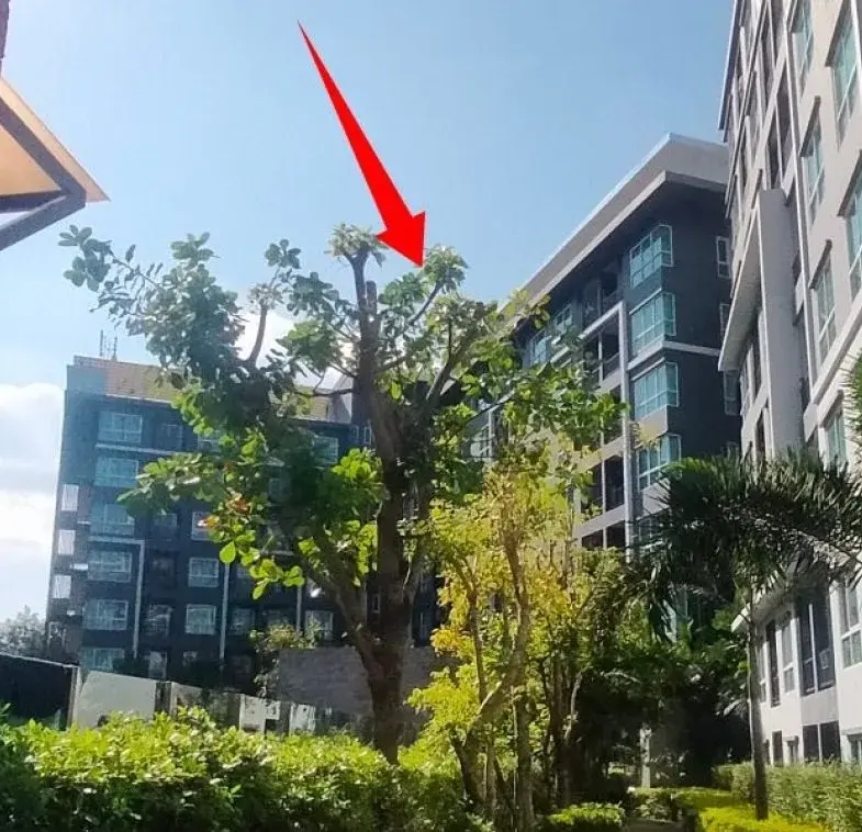 ห้องชุด เดอะเชนจ์ รีแลกซ์ [ชั้น 6 อาคาร L]