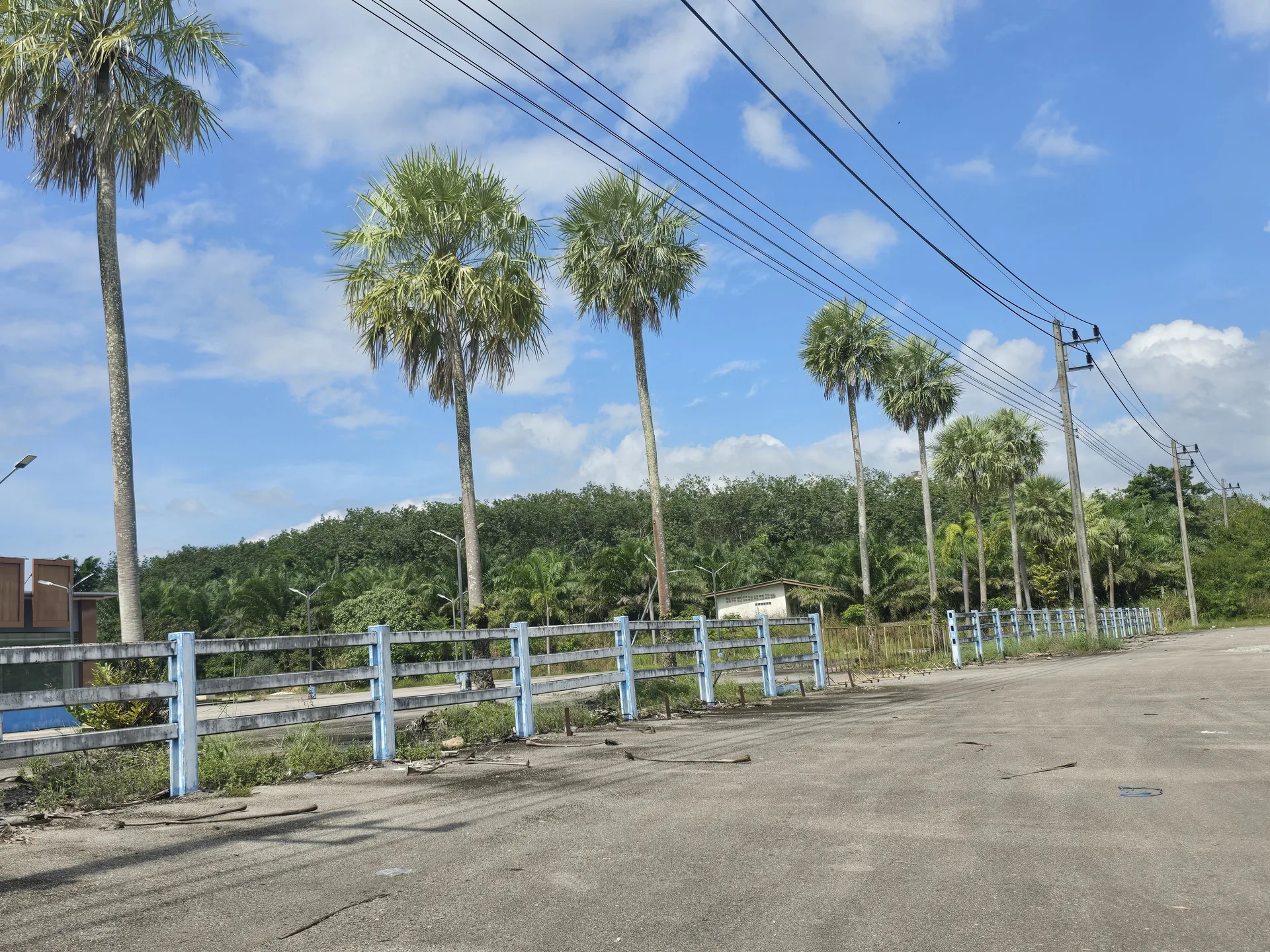อาคาร เมืองตรัง