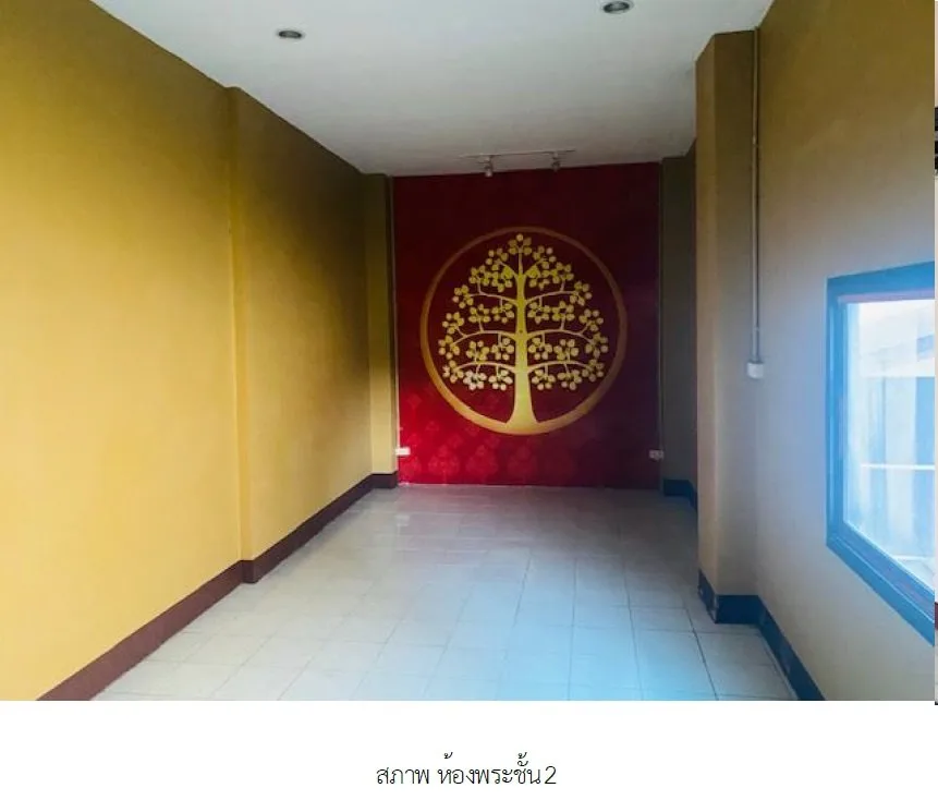 อาคารพาณิชย์ เมืองพะเยา