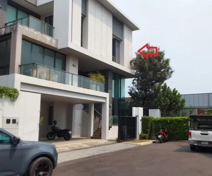 บ้านเดี่ยว บ้านกลางเมือง คลาสเซ่ ลาดพร้าว