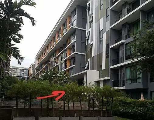 ห้องชุด ไอคอนโด สุขุมวิท 103 [ชั้น 7 อาคาร D]
