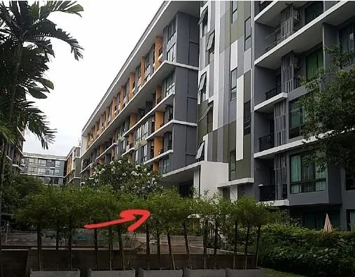 ห้องชุด ไอคอนโด สุขุมวิท 103 [ชั้น 7 อาคาร D]