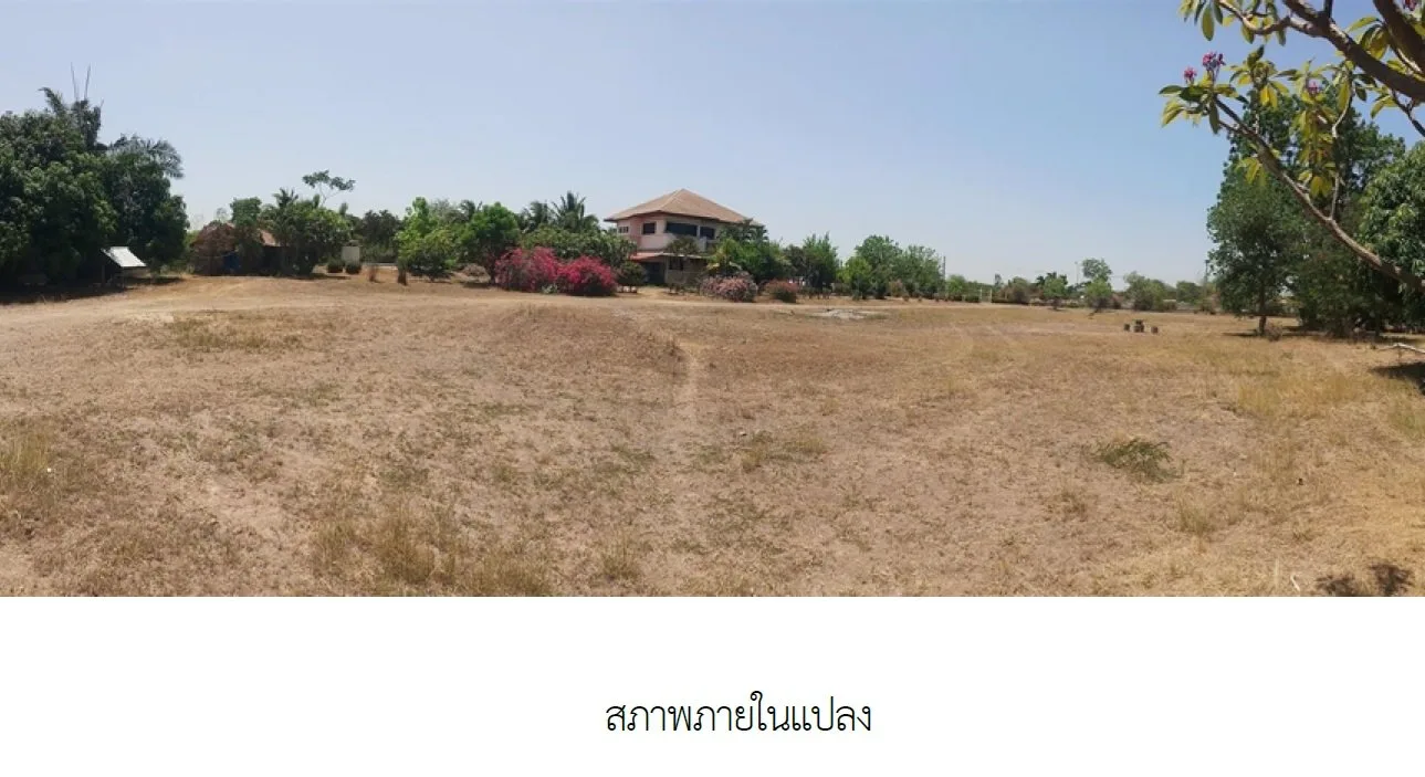 บ้านเดี่ยว พุทไธสง-บุรีรัมย์