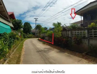 บ้านเดี่ยว โครงการ บ้านป่าตึง เชียงราย รูปที่ 1