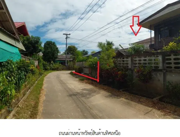 บ้านเดี่ยว โครงการ บ้านป่าตึง เชียงราย