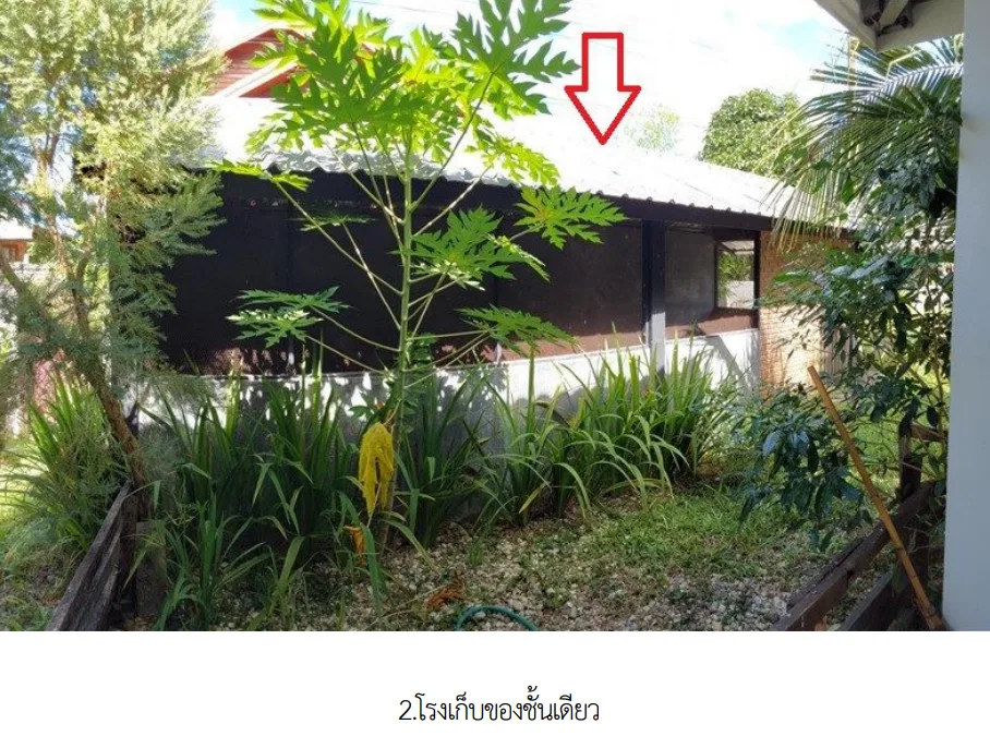 บ้านเดี่ยว โครงการ บ้านป่าตึง เชียงราย