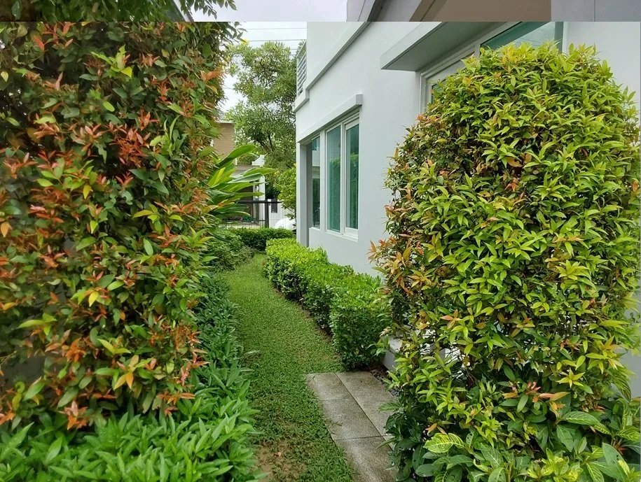 บ้านเดี่ยว ชัยพฤกษ์ เวสต์เกต บางใหญ่-นนทบุรี