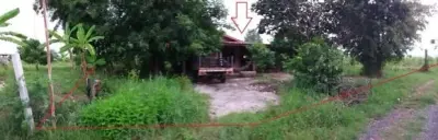 บ้านเดี่ยว บ้านห้วยหวาย แก้งคร้อ-ชัยภูมิ รูปที่ 3