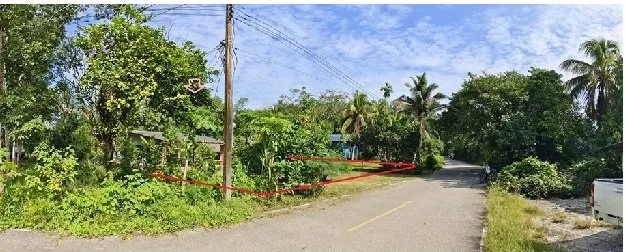 บ้านเดี่ยว นาโยง-ตรัง