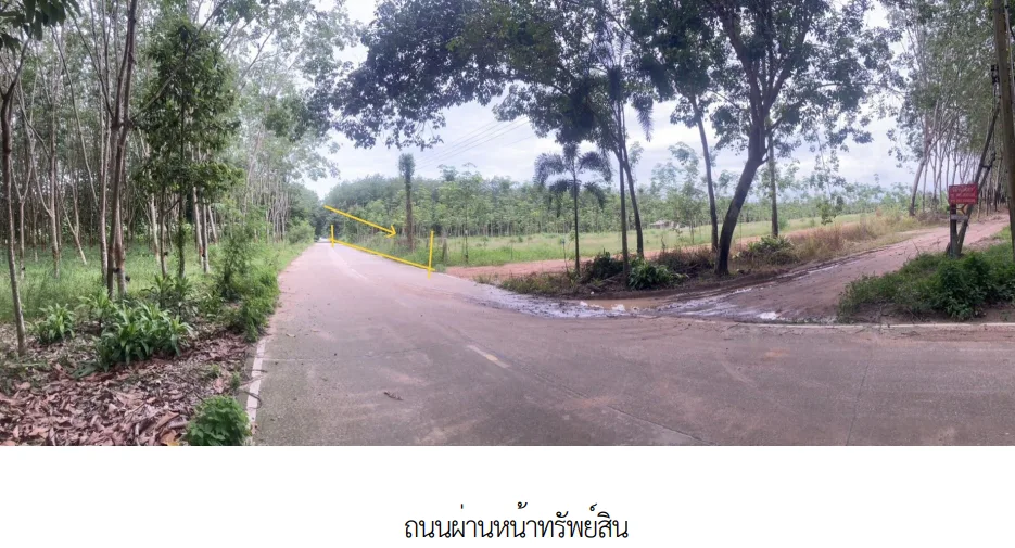 ที่ดินว่างเปล่า บ้านค่าย ระยอง