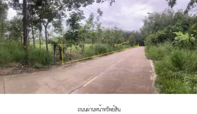 ที่ดินว่างเปล่า บ้านค่าย ระยอง รูปที่ 2