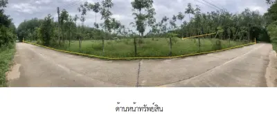 ที่ดินว่างเปล่า บ้านค่าย ระยอง รูปที่ 3