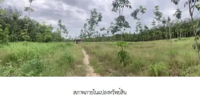 ที่ดินว่างเปล่า บ้านค่าย ระยอง รูปที่ 4