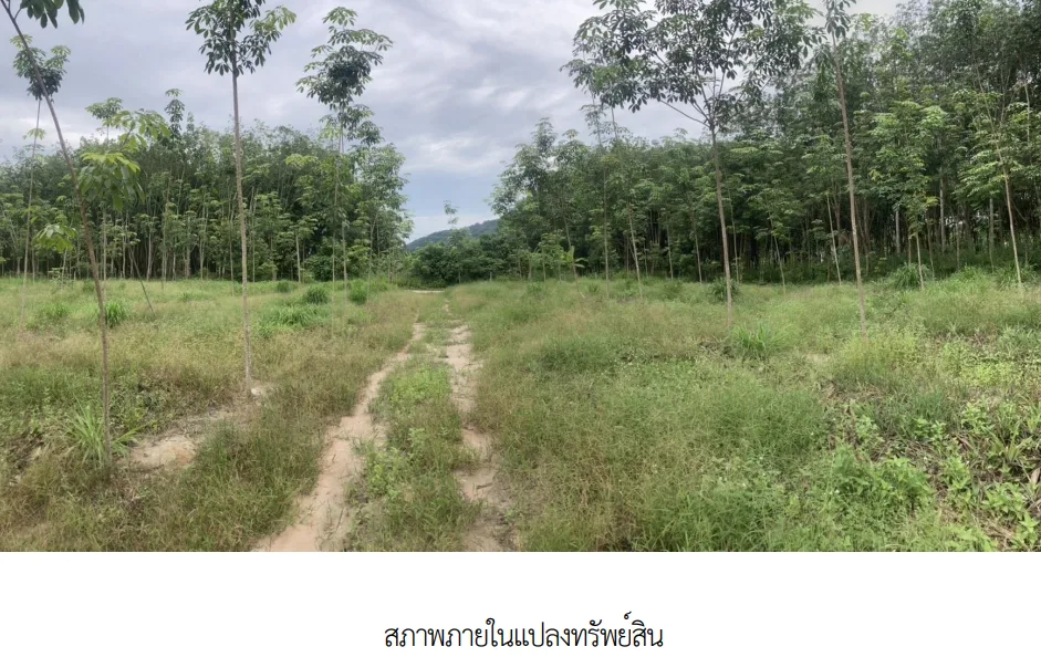 ที่ดินว่างเปล่า บ้านค่าย ระยอง