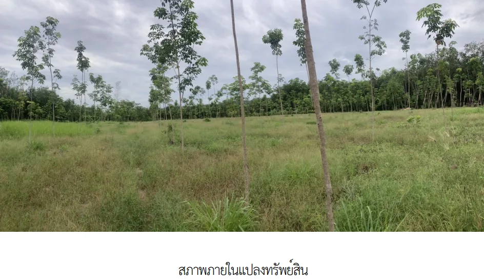 ที่ดินว่างเปล่า บ้านค่าย ระยอง