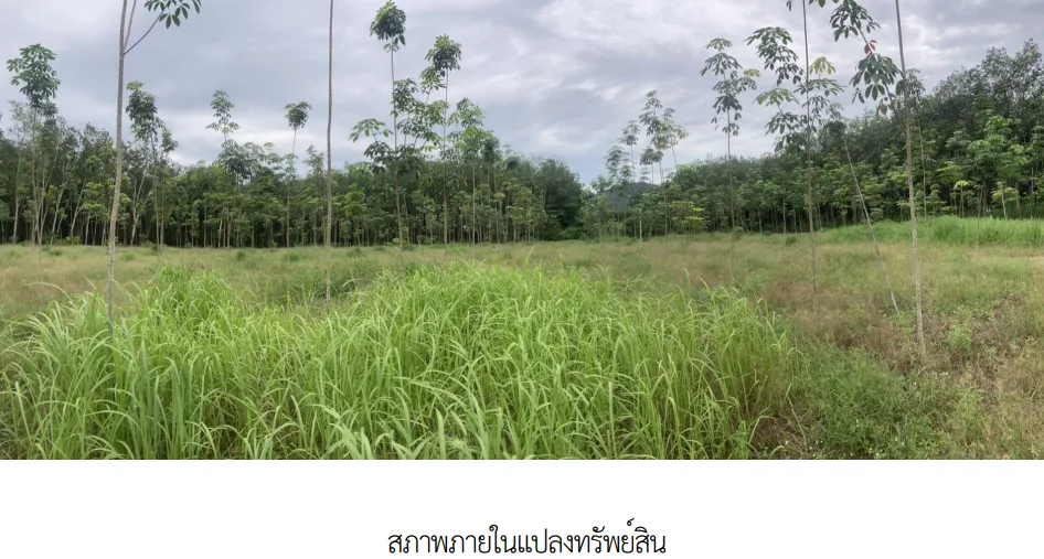 ที่ดินว่างเปล่า บ้านค่าย ระยอง