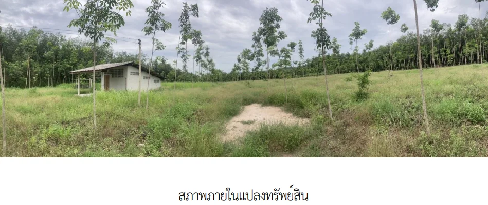 ที่ดินว่างเปล่า บ้านค่าย ระยอง
