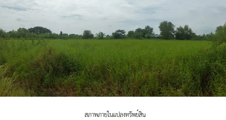 ที่ดินว่างเปล่า โครงการ รมณีย์เลคแลนด์ กรุงเทพมหานคร