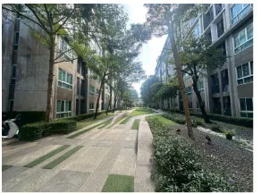 ห้องชุด โครงการ ดี คอนโด กาญจนวนิช สงขลา