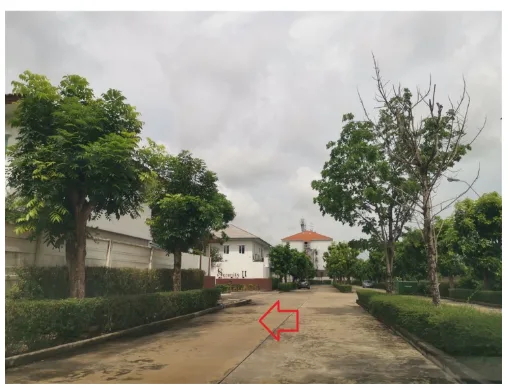 บ้านแฝด โครงการ พฤกษาทาวน์ เพชรเกษม 81 (เฟส เซเรนิตี้ 2) กรุงเทพมหานคร