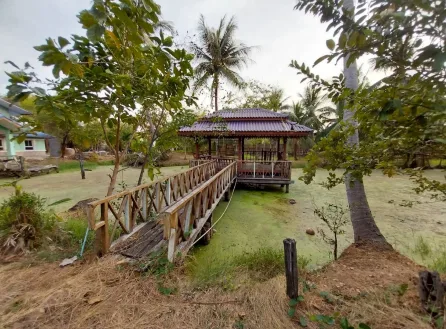 บ้านเดี่ยว เมืองเพชรบุรี เพชรบุรี