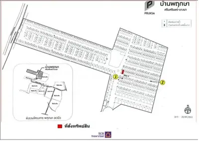 ทาวน์เฮ้าส์ บ้านพฤกษา ศรีนครินทร์-บางนา [ซ.3] รูปที่ 3