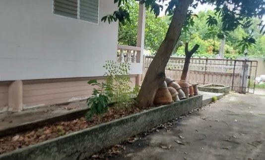 บ้านเดี่ยว ซอยอ่อนนุช66 กรุงเทพมหานคร