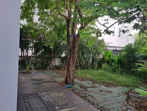 บ้านแฝด โครงการ ไฮ ลิฟวิ่ง 1 ชลบุรี