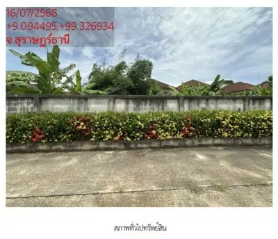 ที่ดินว่างเปล่า ซ. พ่อขุนทะเล 14 อ.มืองสุราษฎร์ธานี รูปที่ 2