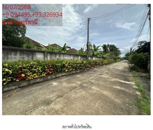 ที่ดินว่างเปล่า ซ. พ่อขุนทะเล 14 อ.มืองสุราษฎร์ธานี