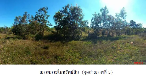 บ้านเดี่ยว เมืองนครพนม นครพนม