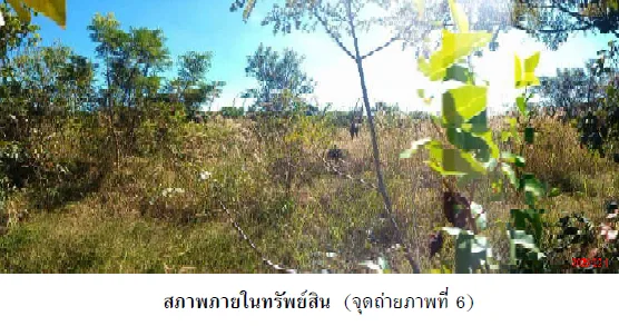 บ้านเดี่ยว เมืองนครพนม นครพนม