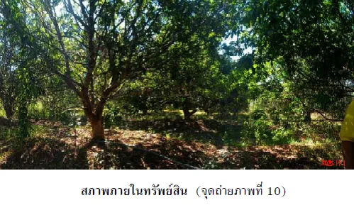 บ้านเดี่ยว เมืองนครพนม นครพนม