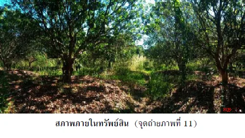 บ้านเดี่ยว เมืองนครพนม นครพนม