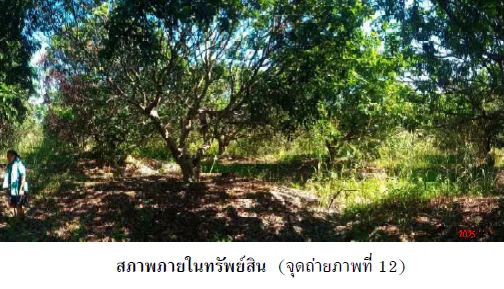 บ้านเดี่ยว เมืองนครพนม นครพนม