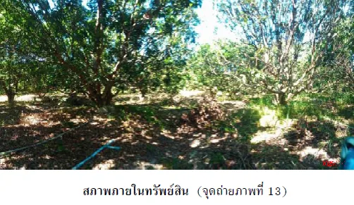 บ้านเดี่ยว เมืองนครพนม นครพนม