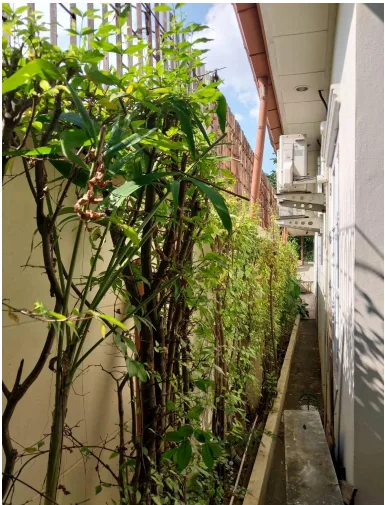 บ้านเดี่ยว โครงการ เพอร์เฟคเพลส รัตนาธิเบศร์ นนทบุรี