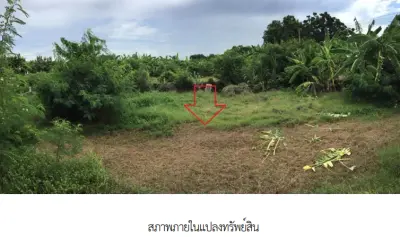 บ้านเดี่ยว  พนมทวน กาญจนบุรี รูปที่ 4