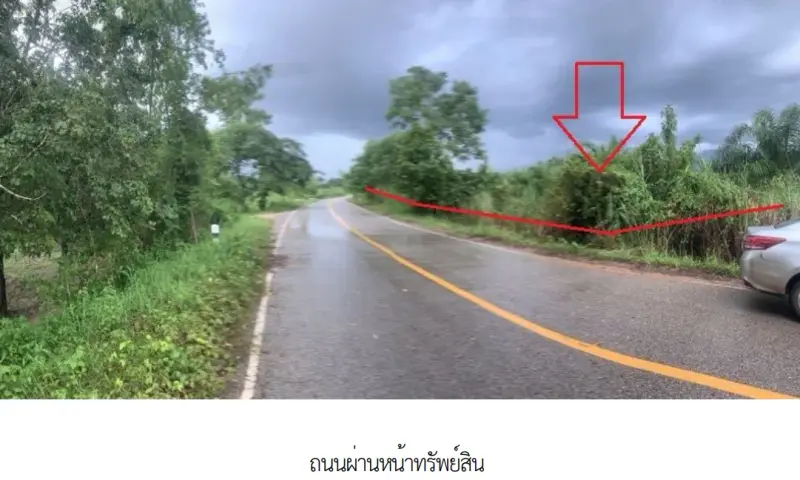 ที่ดินว่างเปล่า เมืองบึงกาฬ  บึงกาฬ