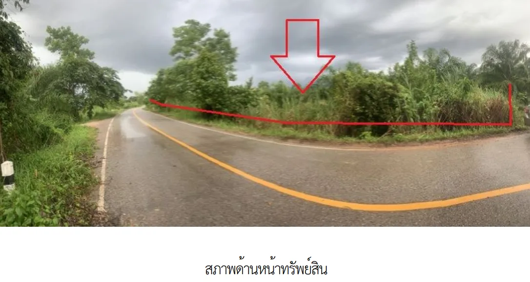 ที่ดินว่างเปล่า เมืองบึงกาฬ  บึงกาฬ