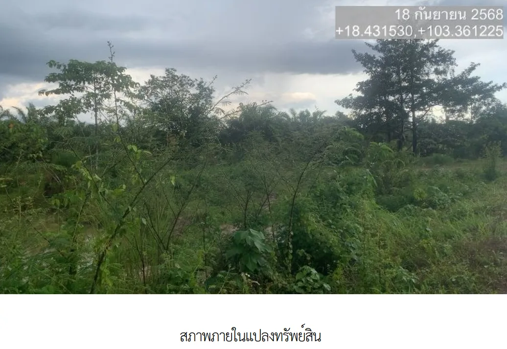 ที่ดินว่างเปล่า เมืองบึงกาฬ  บึงกาฬ