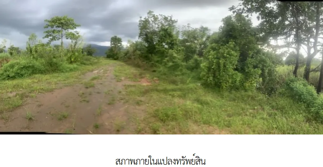 ที่ดินว่างเปล่า เมืองบึงกาฬ  บึงกาฬ