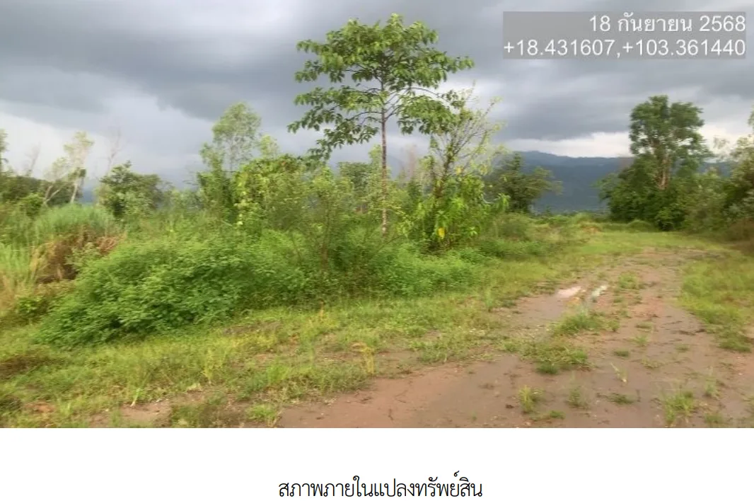 ที่ดินว่างเปล่า เมืองบึงกาฬ  บึงกาฬ